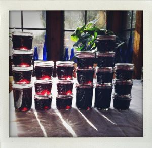 SoCo Concord Grape Jelly- Hip Girls