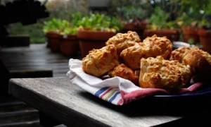 BeeCave_EatitKid_cheesy apple biscuits